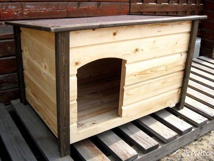 Собачья будка