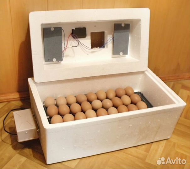 Инкубатор Несушка