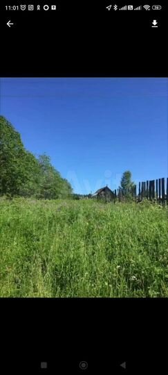 Участок 43 сот. (ИЖС)