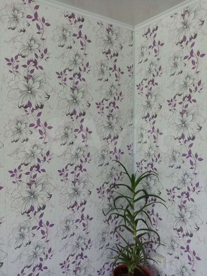 Дом 74 м² на участке 20 сот.