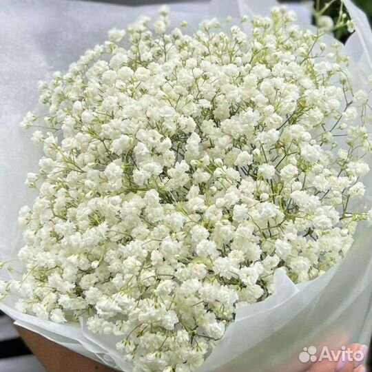 Гипсофила Букет из 11 веток