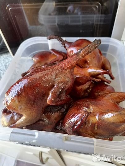 Мясо перепела, яйцо
