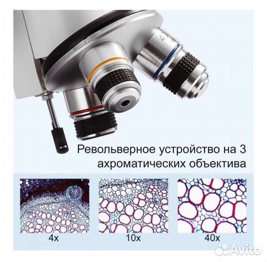 Микроскоп биологический Erudit C13