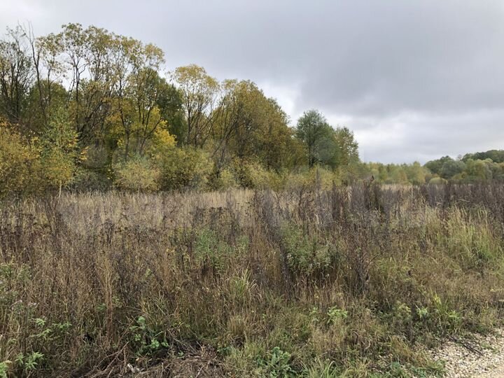 Участок 3,6 га (СНТ, ДНП)