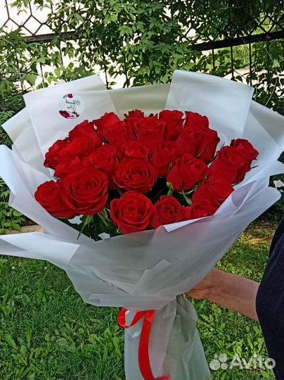 Розы, букет из роз 25. Розы с доставкой