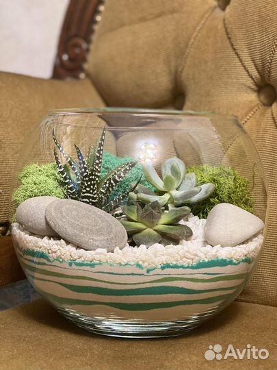 Флорариумы