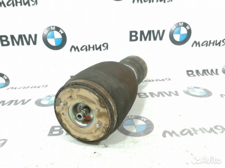 Пневмобаллон задний левый Bmw X5 E53 M54B30 2004