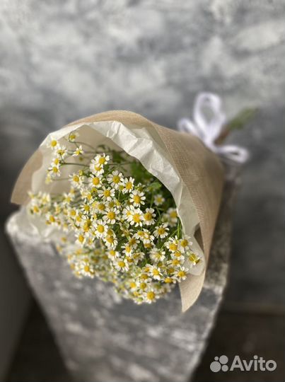 Букет ромашки, букет комплимент