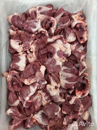 Мясо для собак