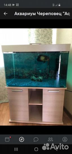Аквариумы