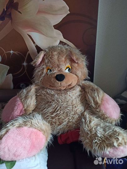 Медведь большой