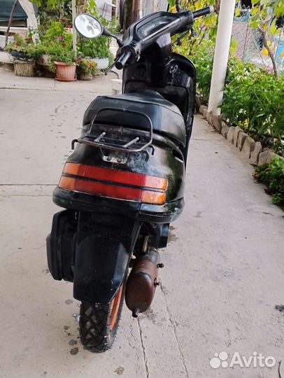 Honda tact 24