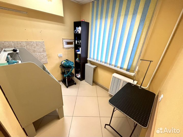 Аренда груминг кабинета