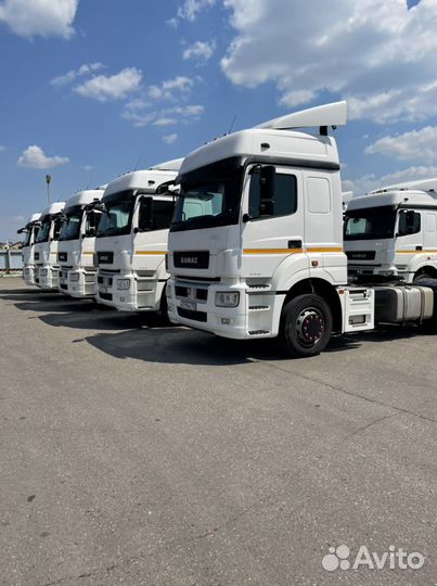 КамАЗ 5490 NEO, 2017