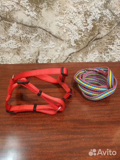 Шлейка и поводок для маленьких и средних животных