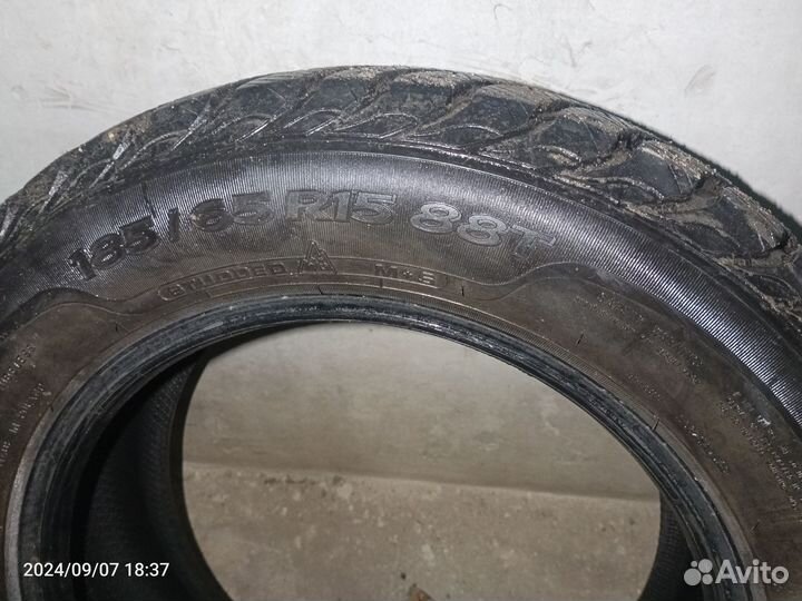 Sava Eskimo Stud 185/65 R15 88T