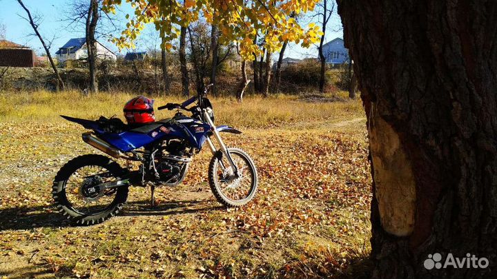 Irbis TTR 250