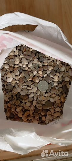 Грунт для аквариума и растение