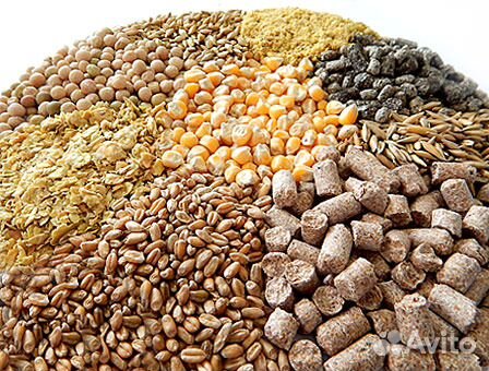 Комбикорм, отруби, зерно, добавки и премиксы и т.д