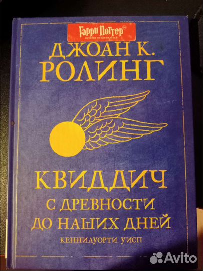 Квиддич с древности до наших дней