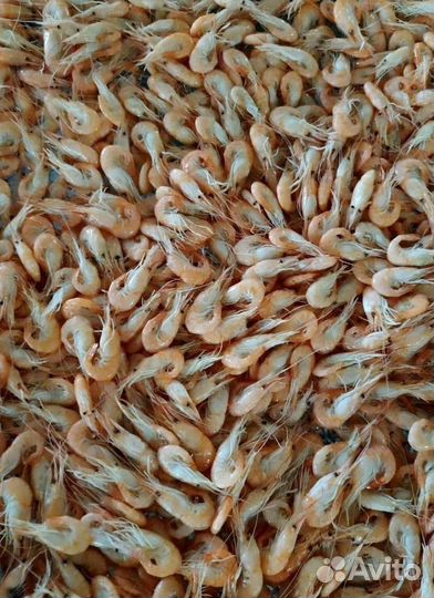 Креветка азовская вареная