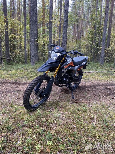 Зид 250сс Лис эндуро