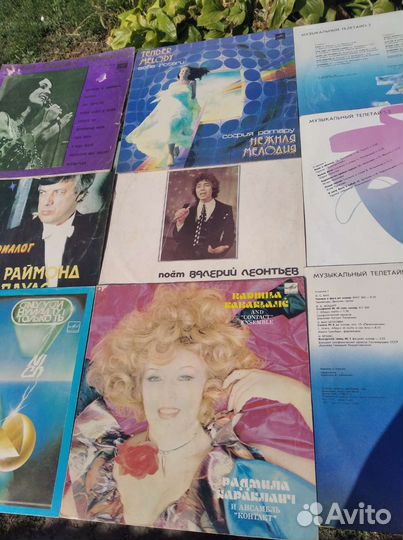 Виниловые пластинки