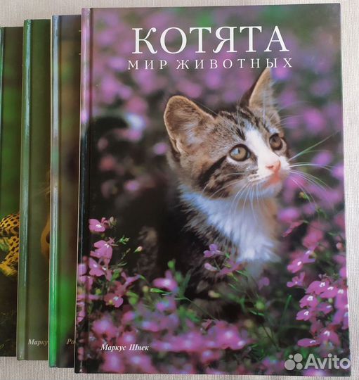 Книги- фотоальбомы 