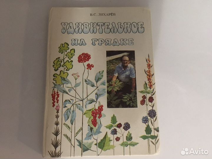 Книга Удивительное на грядке