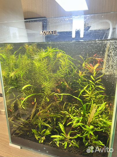 Аквариум Акваэль cube