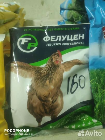 Здравур несушка,крепковит, Борька