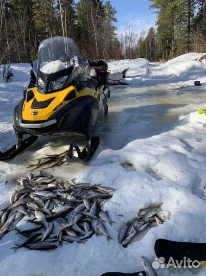 Skidoo tundra wt550f