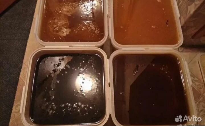 Мёд/мед/дягель