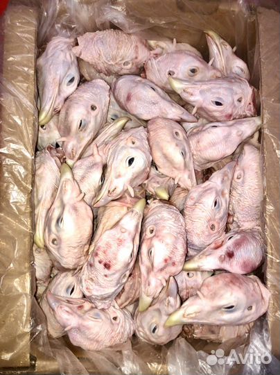 Индейка - Головы, Лапы