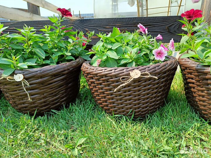 Кашпо для цветов