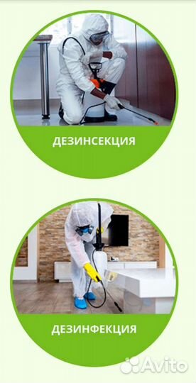 Дезинфекция
