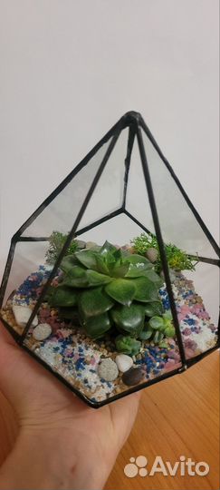 Флорариум подарок ваза