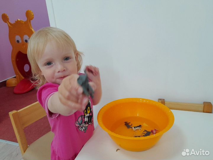 Детский сад, частный детский сад, ясли