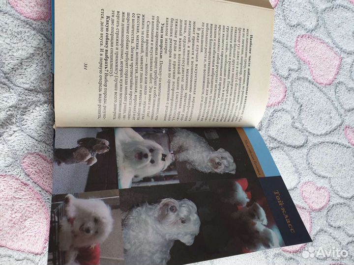 Книга Справочник Собаки