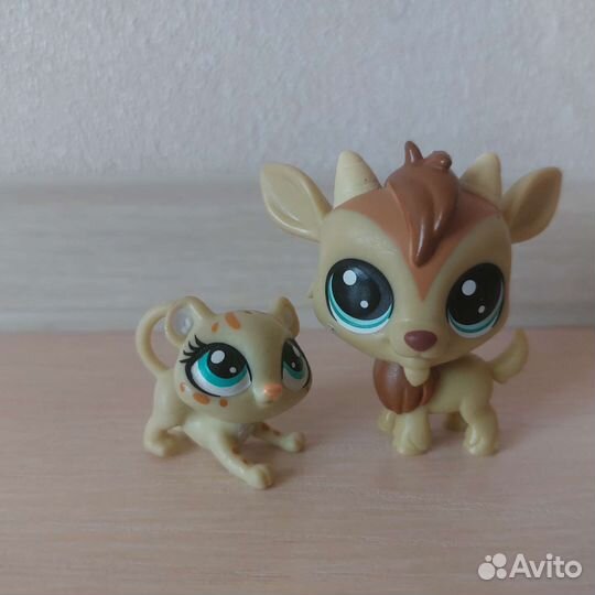 Littlest Pet Shop