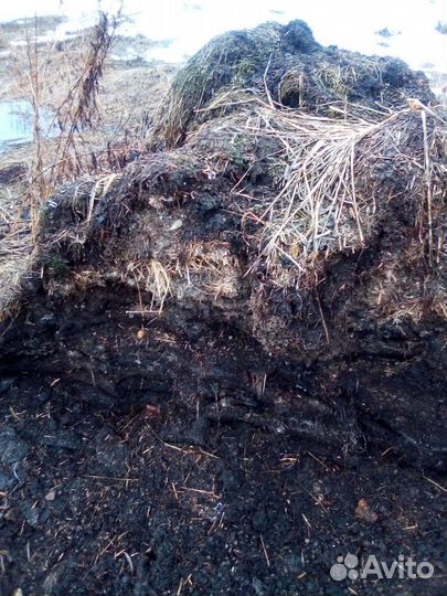 Навоз-перегной