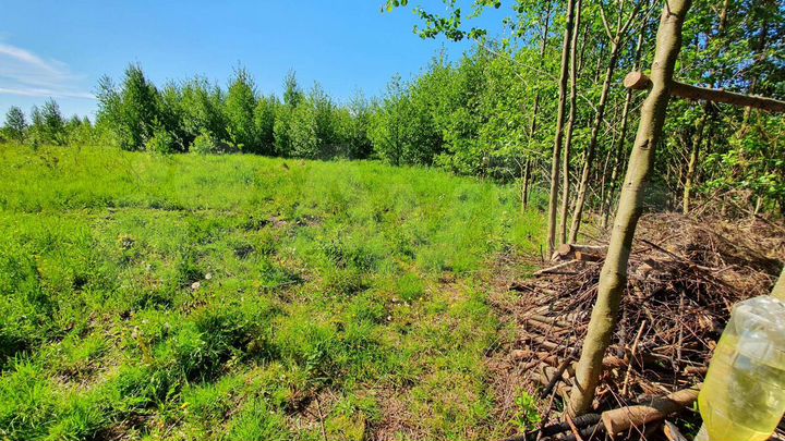 Участок 14,4 сот. (ИЖС)