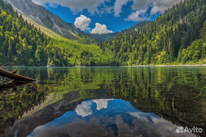 Экскурсия к озеру Рица, Абхазия