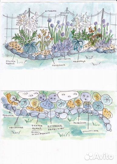 Садовник ландшафтные работы