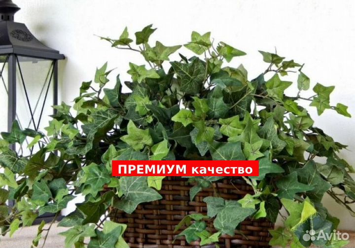 Искусственный плющ