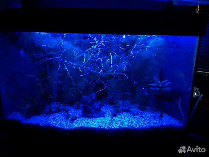 Аквариум фирмы 