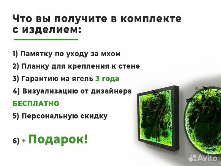 Круг из стабилизированного мха 50 см