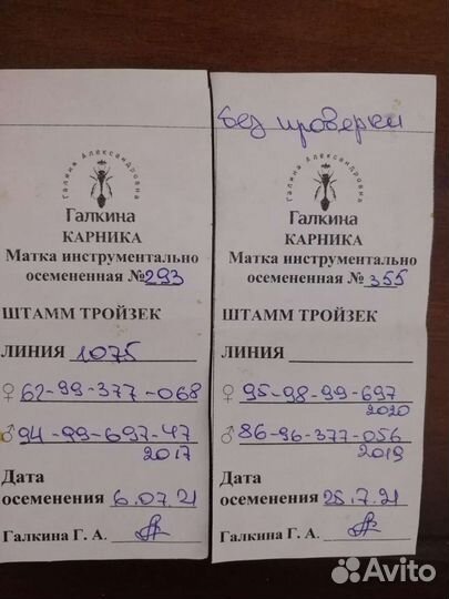 Пчеломатки карника