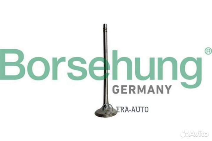 Borsehung B10335 Клапан выпускной