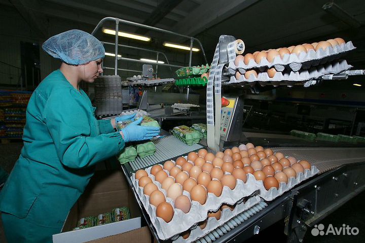 Разнорабочие на птицефабрику/Вахта/Москва,Моск.Об